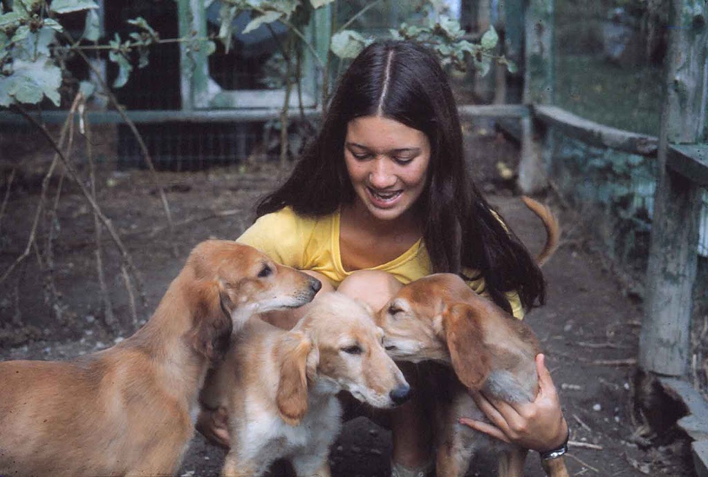 Gwen Van Kleef with Saluki pups